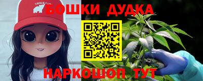 a pvp Славгород