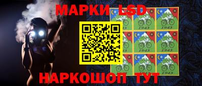 гидропоника Сланцы