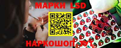 гидропоника Сланцы